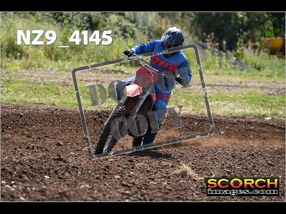 Inters Green-116