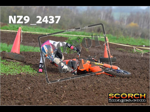 Experts-029