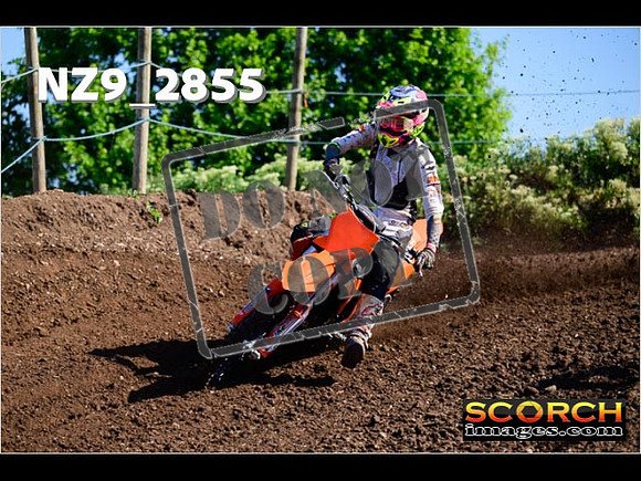 Experts-030