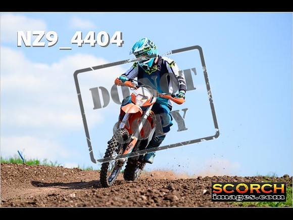 InterGreen-303