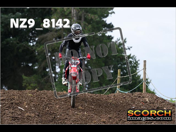 Experts-082