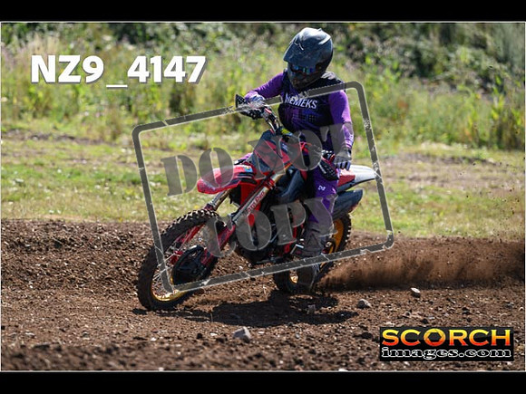 Inters Green-117