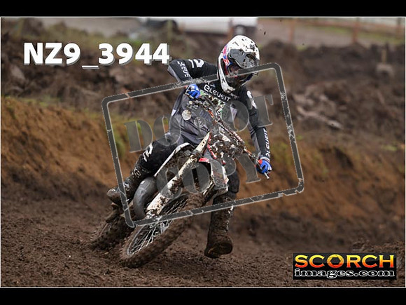 Experts-135