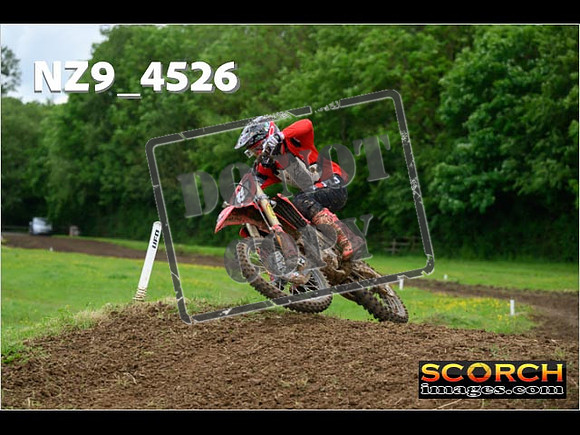 Experts-243
