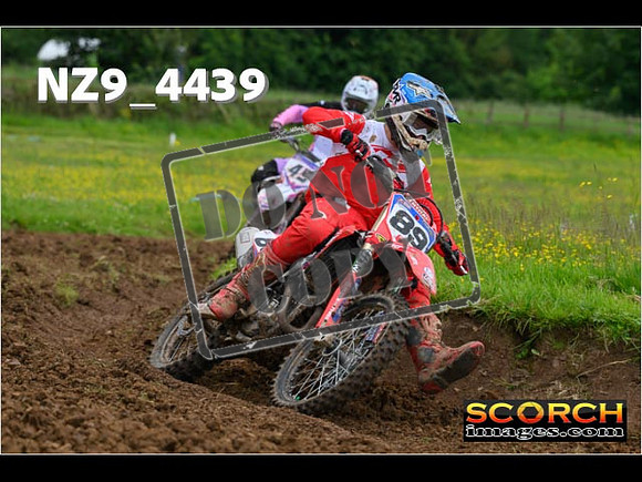Experts-158