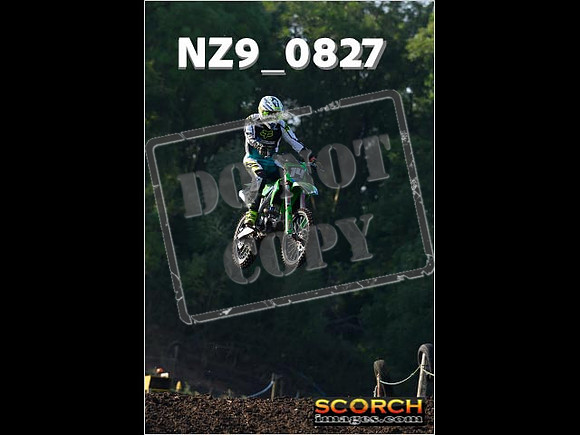 Experts-043