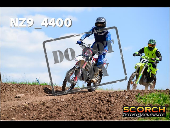InterGreen-299