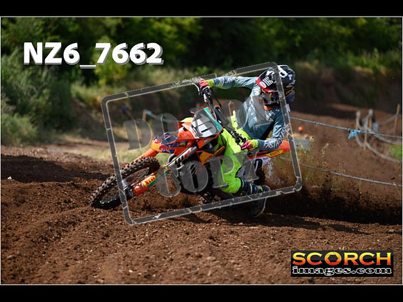 Experts-043