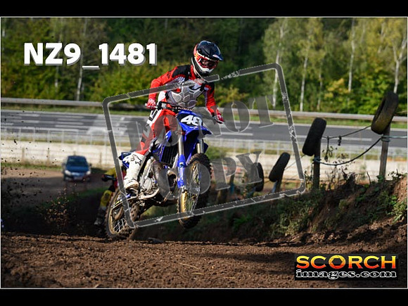Experts-175