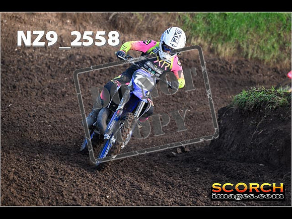 Experts-142