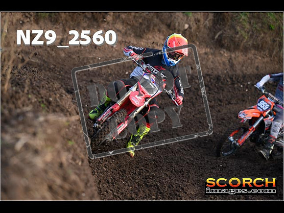 Experts-144