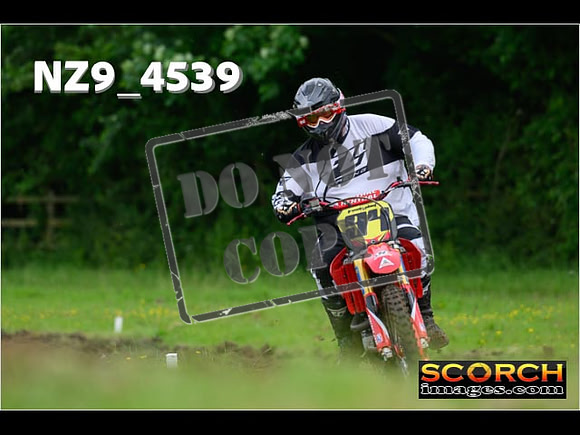 Experts-256