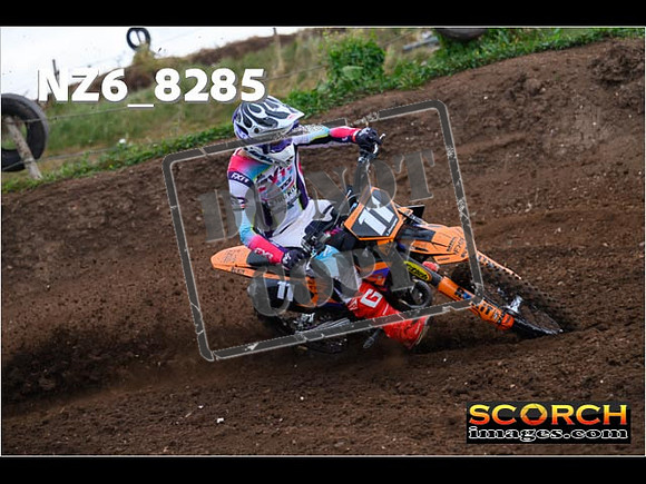 Experts-043