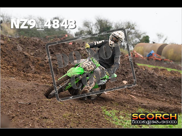 Experts-319
