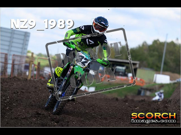 Experts-332