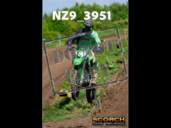 InterGreen-233