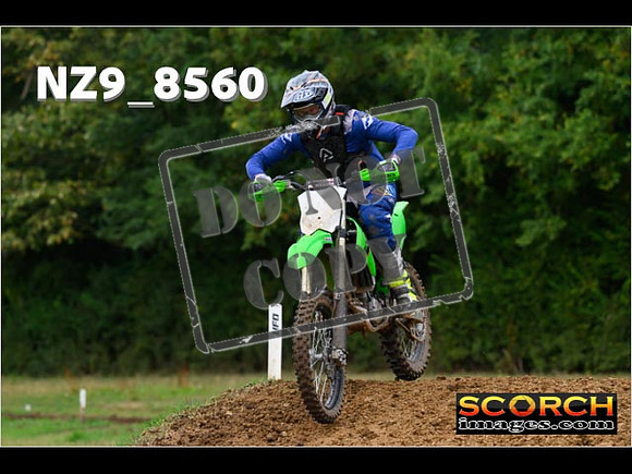 Experts-106