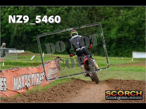 Experts-391