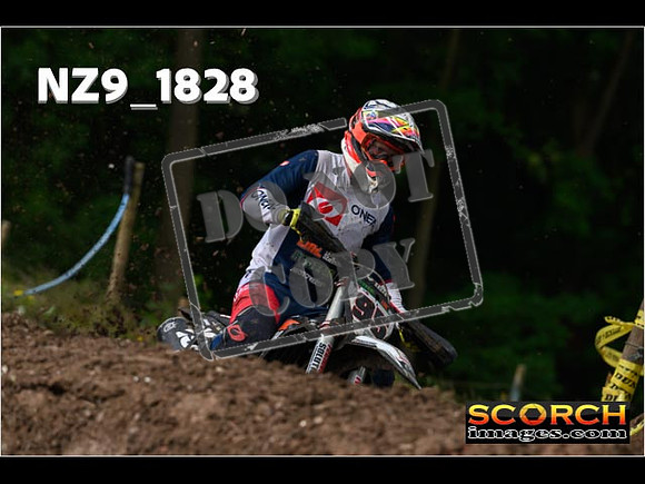 Experts-049