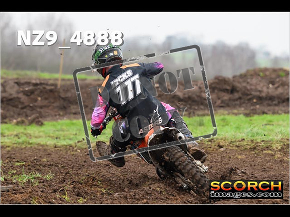 Experts-361