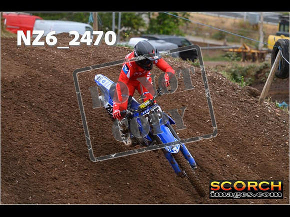 Experts-050