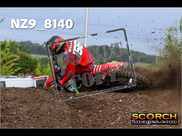 Experts-080