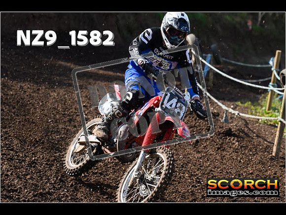 Experts-264