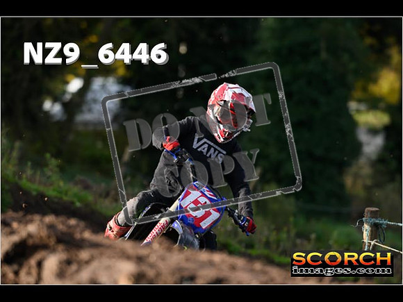 Experts-061