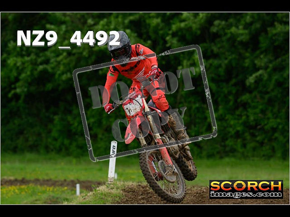 Experts-209