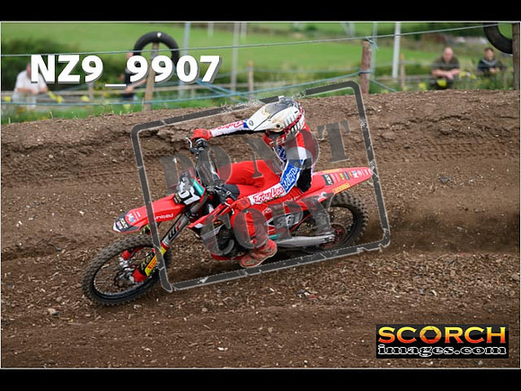 Experts-130