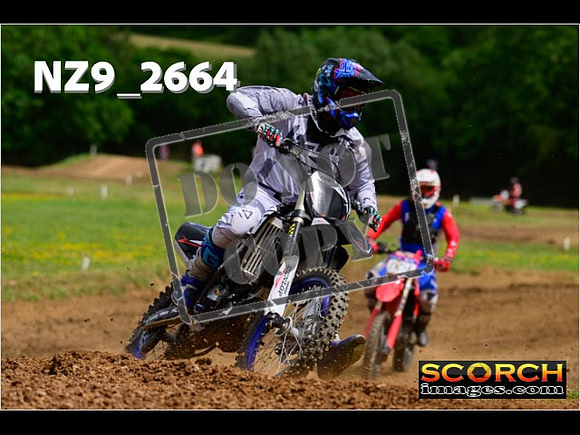 Novice-253