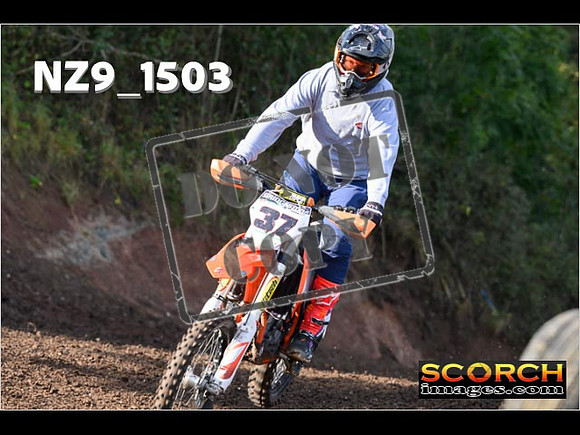 Experts-194