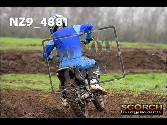 Experts-355