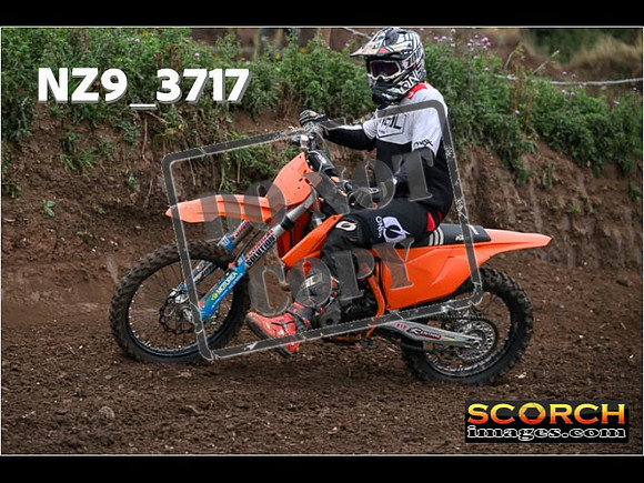 IntersGreenOrange-082