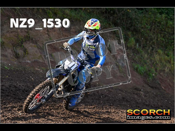Experts-217