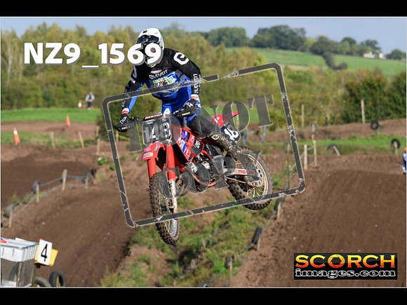 Experts-252