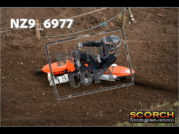 Experts-053