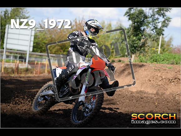 Experts-315