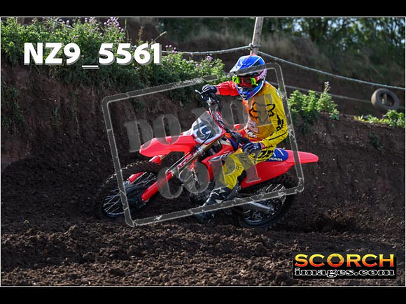 Experts-088
