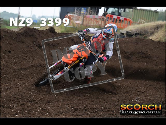 Experts-058