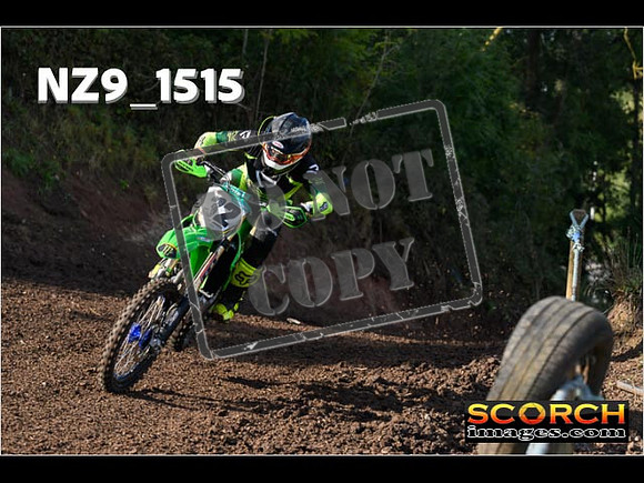 Experts-205