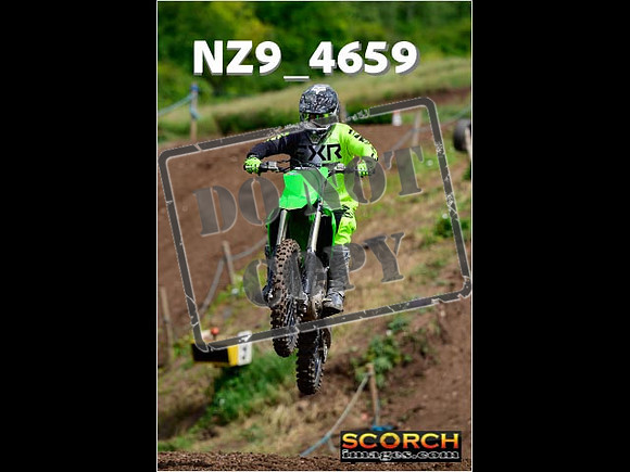 IntersGreen-098