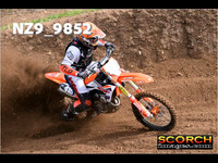 Experts-014