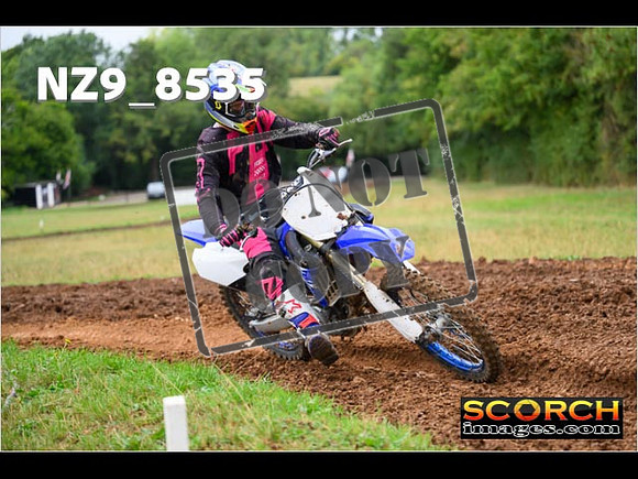 Experts-081