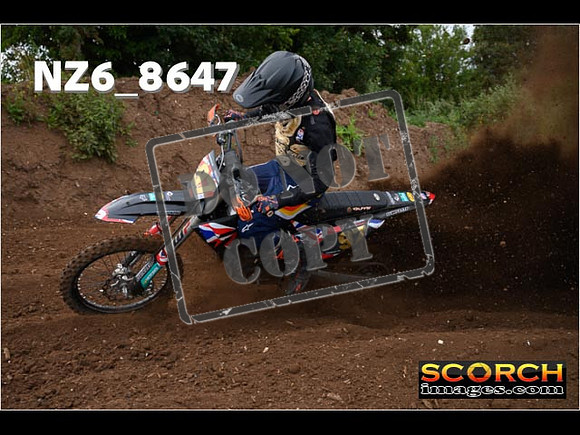 Experts-058
