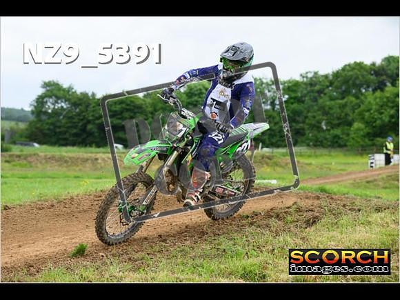 Experts-326