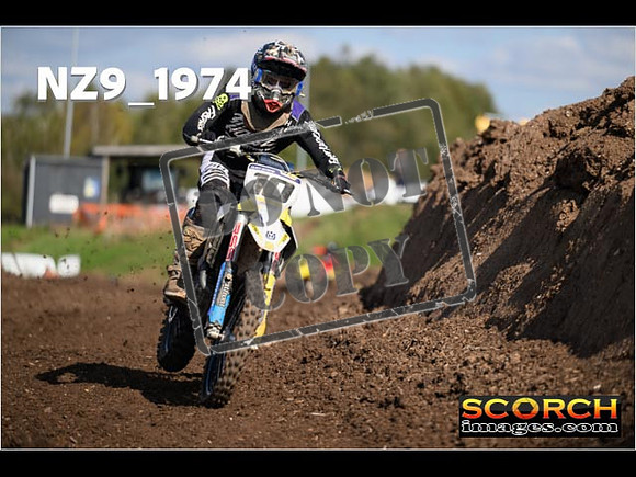Experts-317