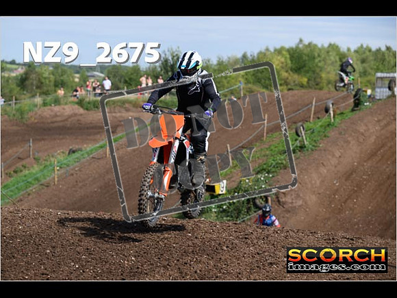 IntersGreenOrange-075