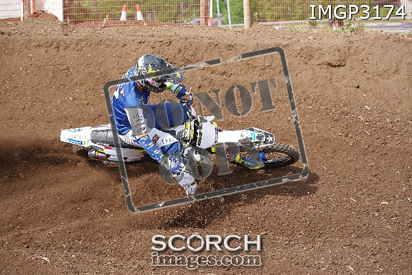IMGP3174