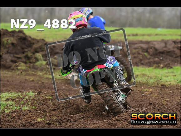 Experts-356